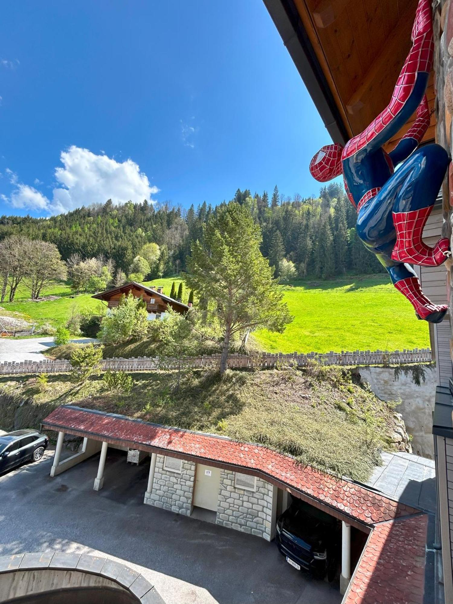 Weitenmoos Panorama Apartments Sankt Johann im Pongau Exterior photo