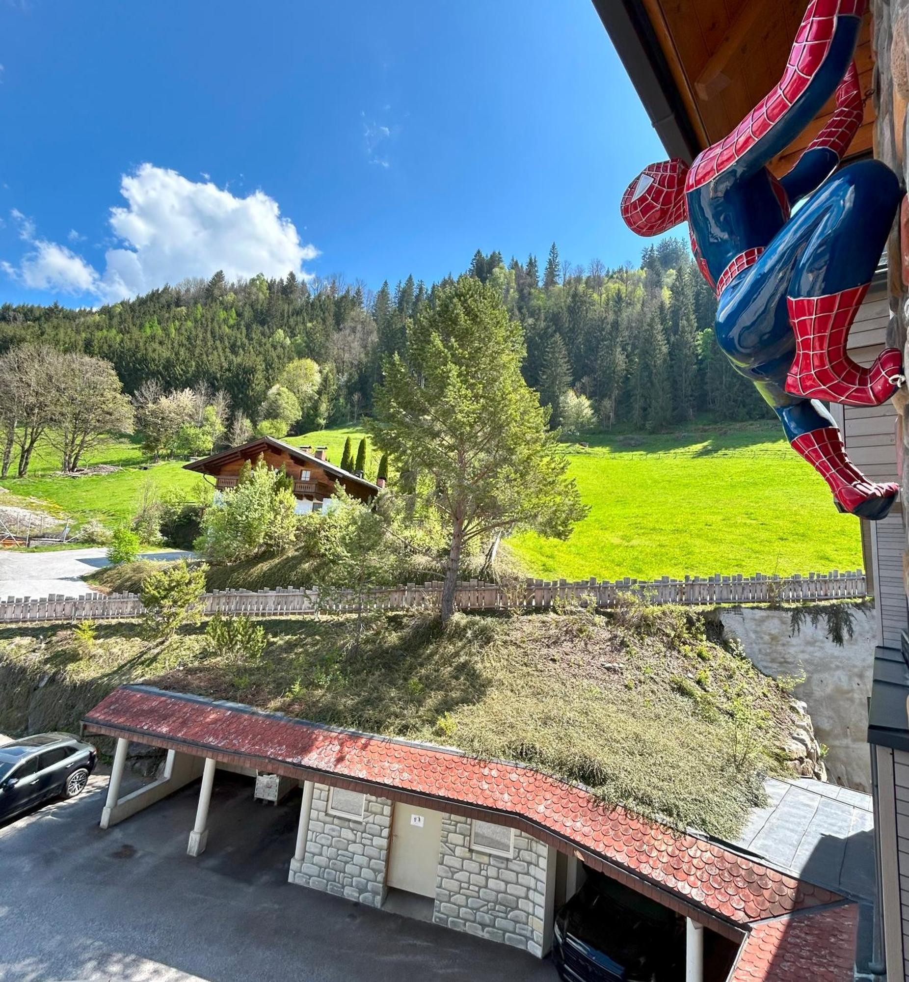 Weitenmoos Panorama Apartments Sankt Johann im Pongau Room photo